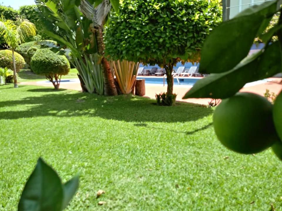 Hotel Alamo Internacional San Salvador Exterior foto